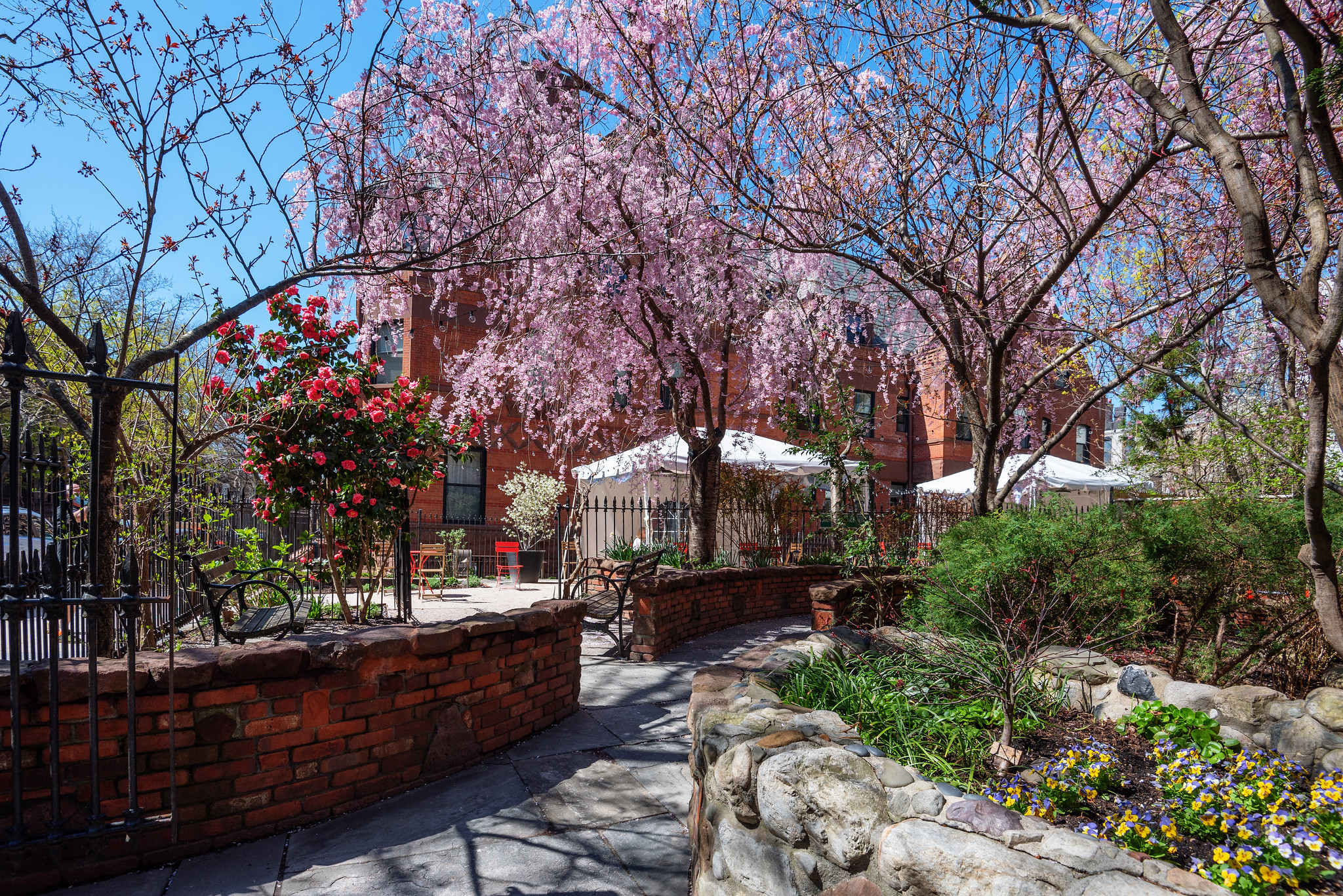 Rent the Garden - Brooklyn Conservatory of Music