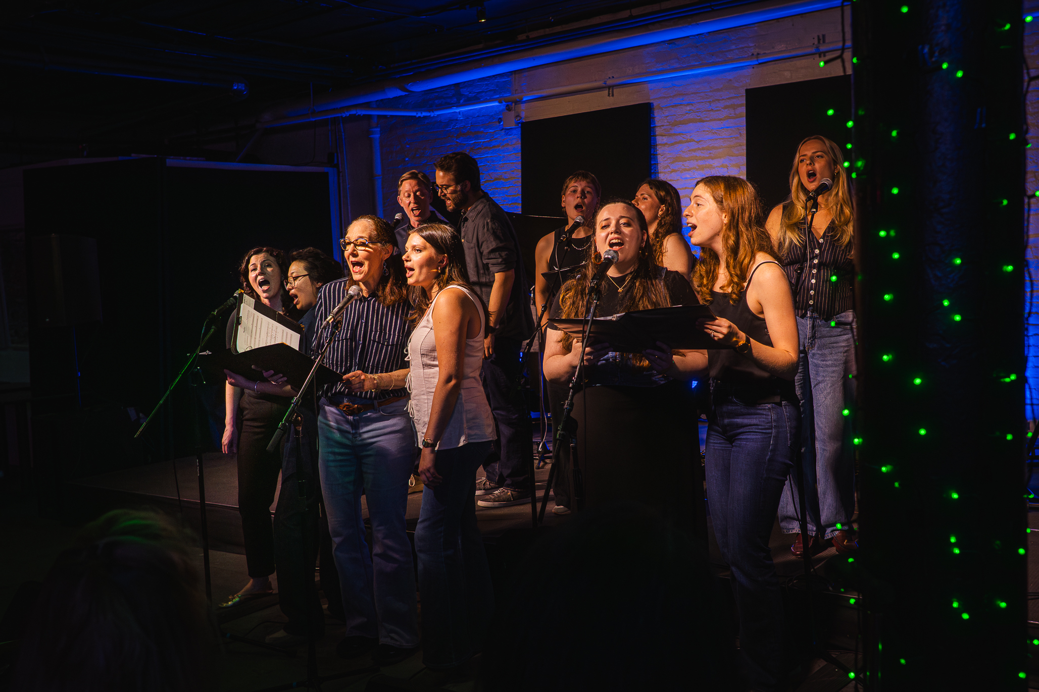Brooklyn Harmonics Twenty+